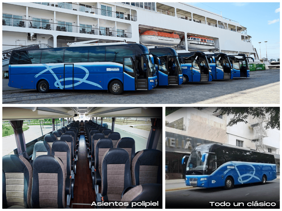 Autobús 55 plazas alquiler