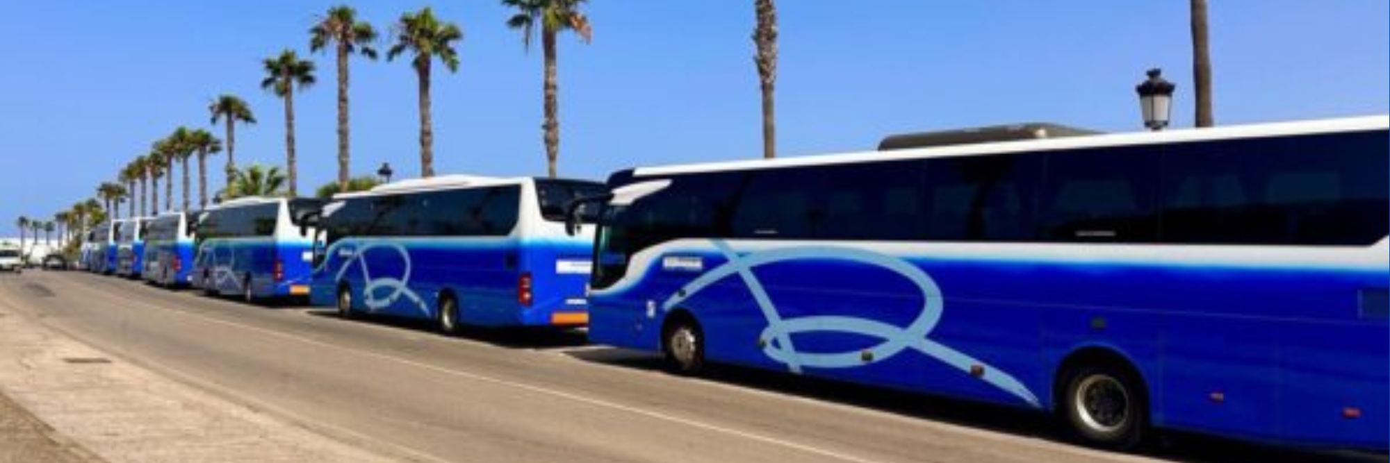 Nuestros congresos son rosabus