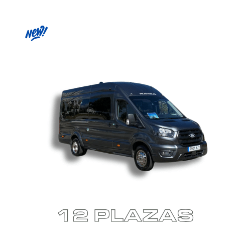Minivans 12 plazas de alquiler en Rosabus Minivans 12 plazas de alquiler en Rosabus